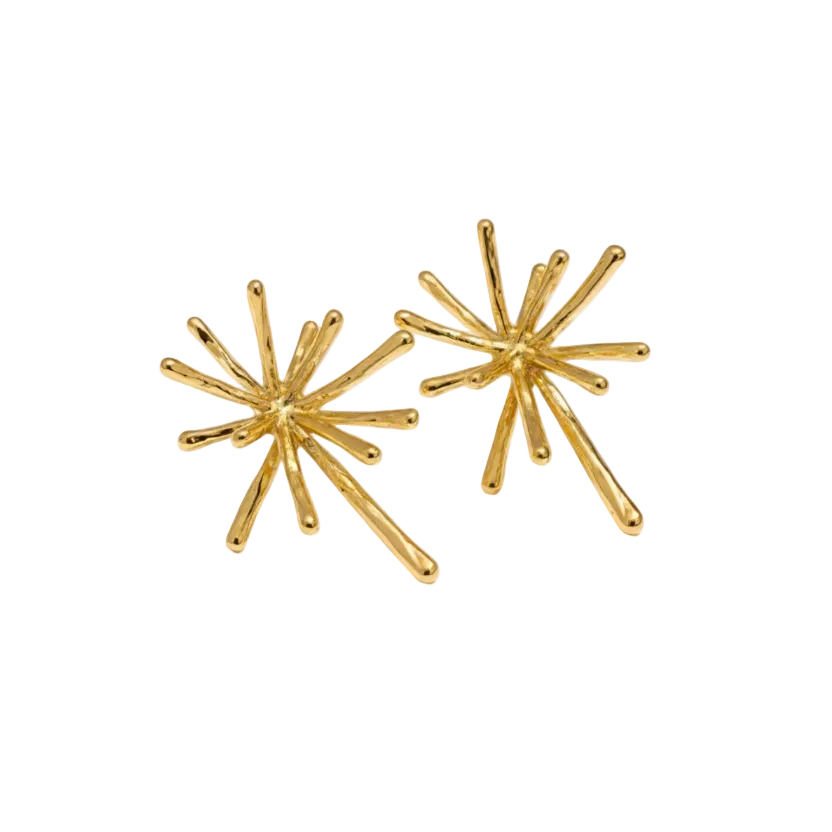 Pinaúna Gold Earring