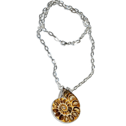 Ammonite Necklace
