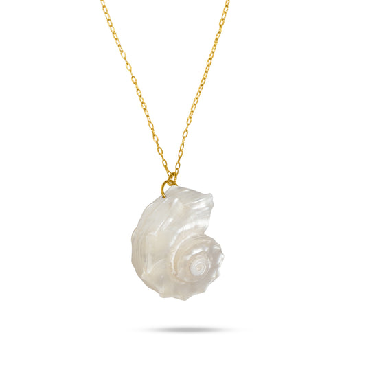 Colar Concha Caracol