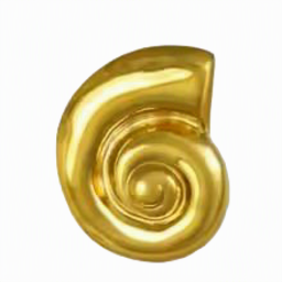 Broche Concha Espiral